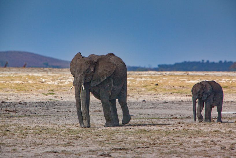 Mama with baby by Peter Michel