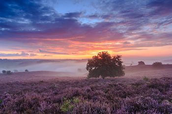 Die Landschaft der Posbank bei Sonnenaufgang
