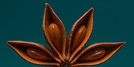 Een panorama van een halve steranijs (met turquoise / groenblauwe achtergrond)