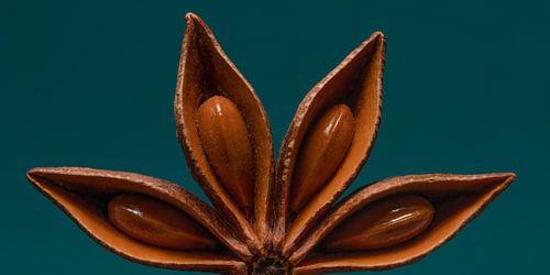 Een panorama van een halve steranijs (met turquoise / groenblauwe achtergrond)