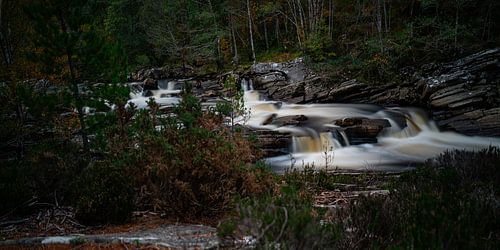 Black water trail von Stefan Havadi-Nagy