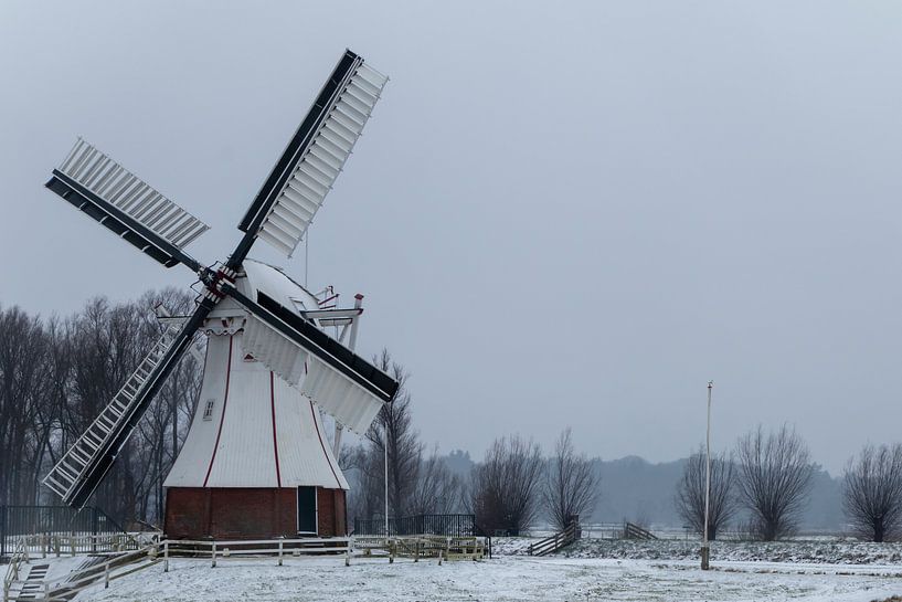 De Witte Mill. von Anjo ten Kate