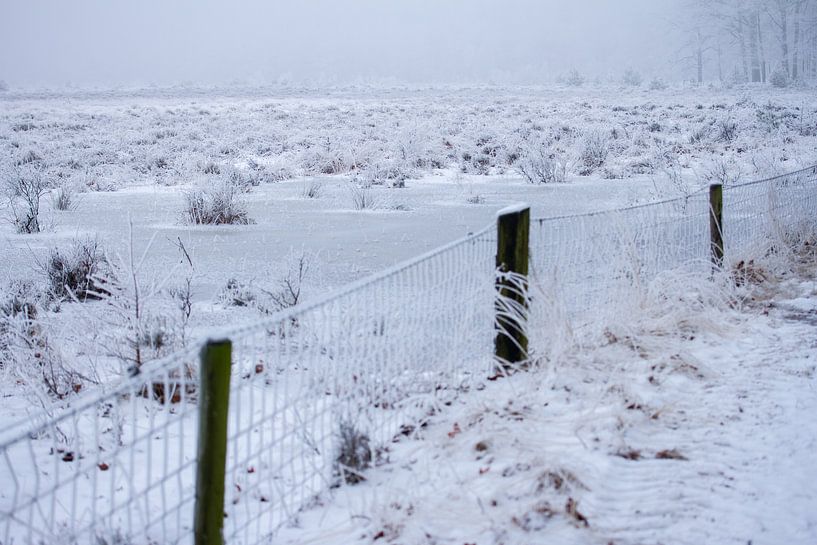 la chaleur en hiver par Karijn | Fine art Natuur en Reis Fotografie