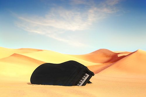 Vleugel in de woestijn