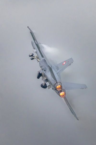 Schweizer F/A-18 im strömenden Regen. von Harm-Jan Martens