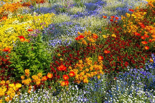 Flower garden on Mainau