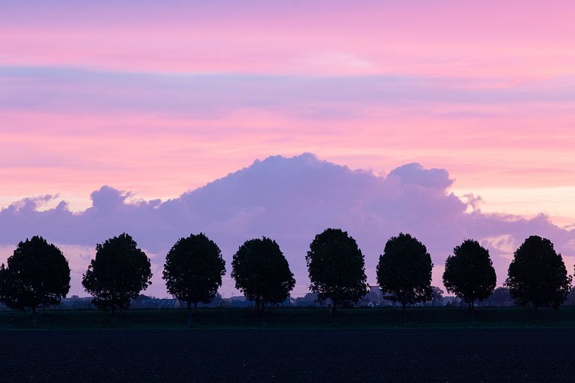 Acht op een rij. by Ulbe Spaans