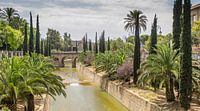 Paradijs in Palma de Mallorca van Mark Bolijn thumbnail