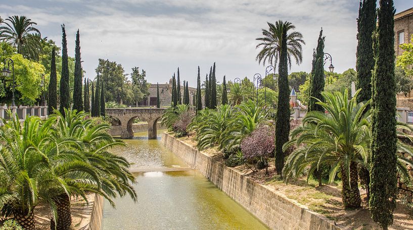 Paradijs in Palma de Mallorca van Mark Bolijn
