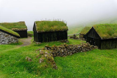 Sheds with grass roofs