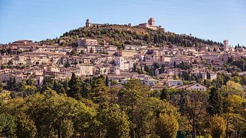 Assisi by Rob Boon