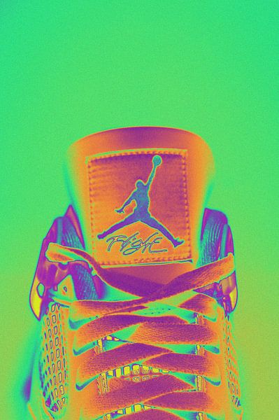 Jordan 4 Hologram van Niels Berendsen