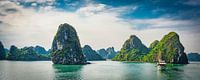 Cruise door Ha Long Bay, Vietnam van Rietje Bulthuis thumbnail
