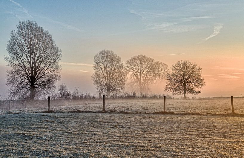Pastel colours in winter by R. Maas