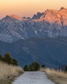 Weg in die Berge von Anges van der Logt