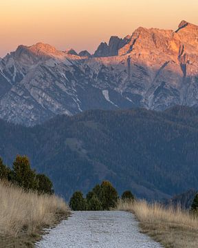 Weg in die Berge