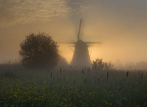 Molen in de mist