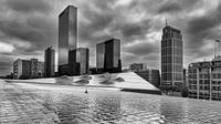 Dak van Centraal station Rotterdam