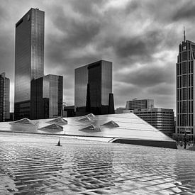 Dak van Centraal station Rotterdam van Arie Kraaijeveld