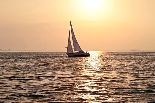 Sailing with sunset on the IJsselmeer in the Netherlands