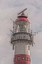 leuchtturm Ameland, NL von Frank van Middelkoop Miniaturansicht