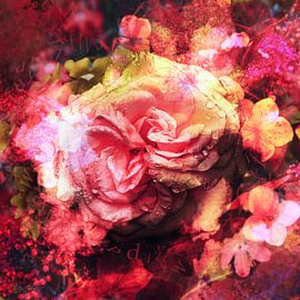 Eine Regnerische Rose von Helga Blanke