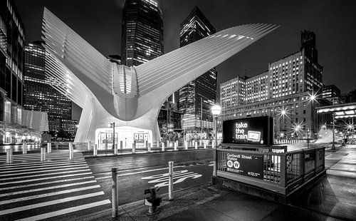 The Oculus, NY