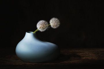 Minimalistisches Stilleben mit Pusteblumen . von Saskia Dingemans Awarded Photographer