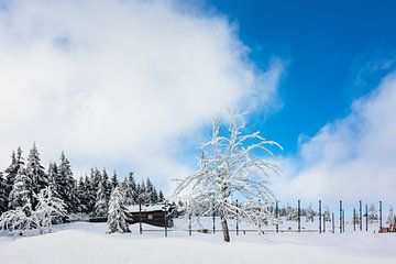 Winter im Riesengebirge bei Spindlermühle, Tschechien von Rico Ködder