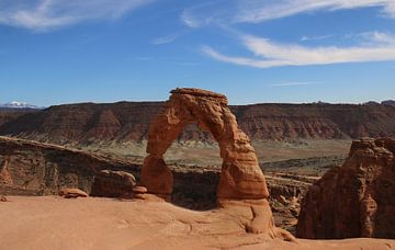 Delicate Arch bow by Matthias Brix