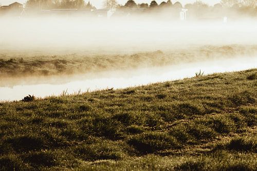 The open polder landscape with its straight ditches, frozen edges and light skimming low over the land
