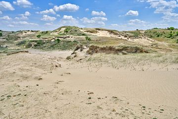 Landschap impressie van duin in awd van eric van der eijk