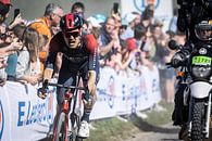 Dylan van Baarle wins Paris - Roubaix by Leon van Bon thumbnail