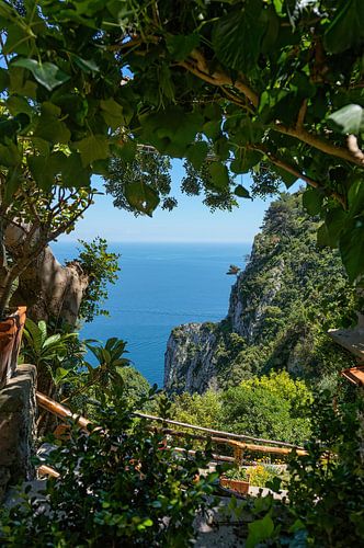 Het natuurlijke venster