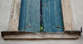 Street Art New Life Window Italy by Martijn Jebbink Photography