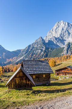 Little Mountain Cabin by Coen Weesjes