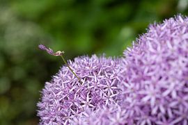 Nerd by Petra Dreiling-Schewe