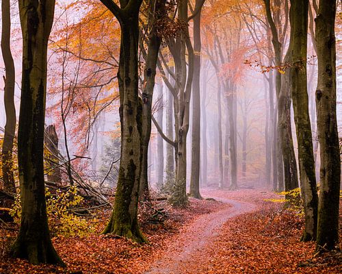 Tomber pour l'automne