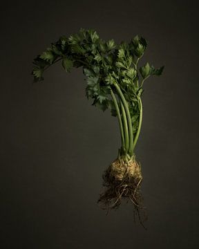 Seasonal vegetables - Outdoor celeriac by Mariska Vereijken