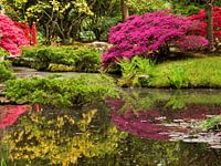 japanse tuin