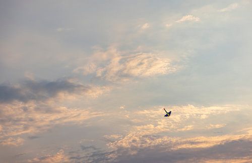 Gekleurde avond lucht met vlieger