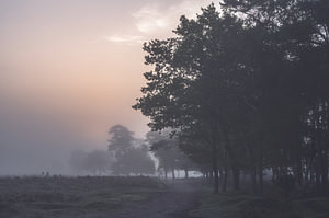 orangefarbener, nebliger Morgen