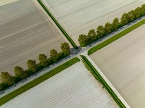 Carrefour dans un paysage rural vu d'en haut sur Sjoerd van der Wal Photographie