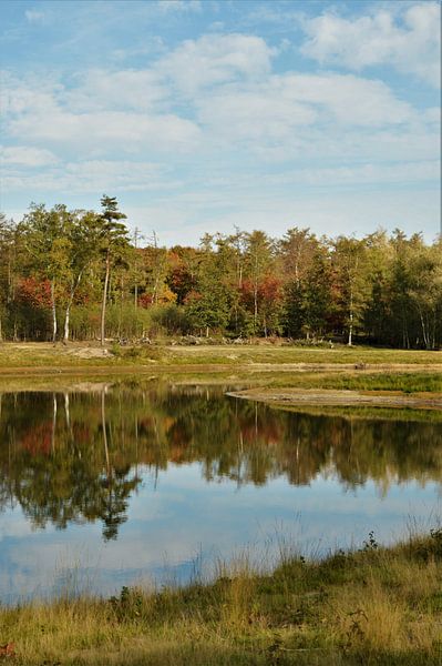 Herfstlandschap van DoDiLa Foto's