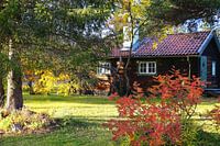 Sweden house in the forest