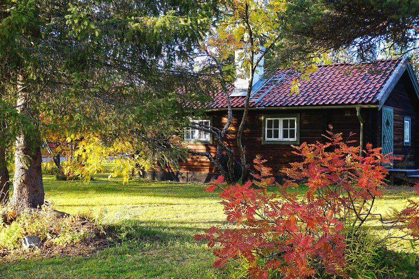 Sweden house in the forest by Thomas Zacharias