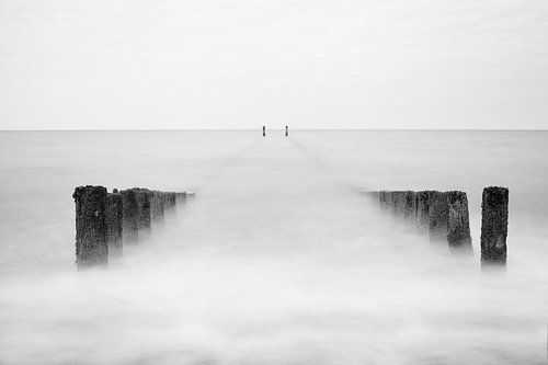 Paaltjes in de Mist IV