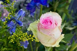 Pink rose with delphinium in a bouquet of yellow flowers by Idema Media