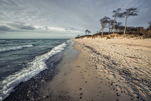 Weststrand IV