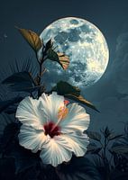 Hibiscus and the moon